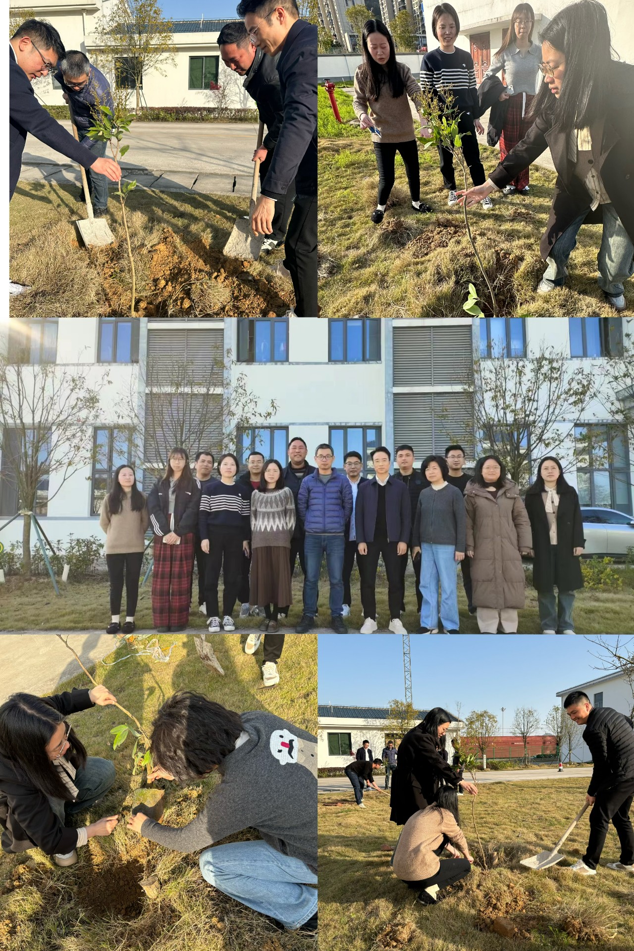 2024-3-12綠色陸港，美麗寧德，阮克妙拍攝.jpg