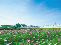 與河北省生態(tài)文明建設(shè)促進(jìn)會(huì)合作，提供單位官網(wǎng)網(wǎng)站改版工作