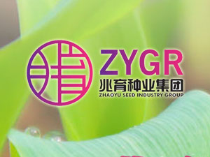 【簽約】河北兆育種業(yè)集團(tuán)有限公司，簽署網(wǎng)站改版升級合同